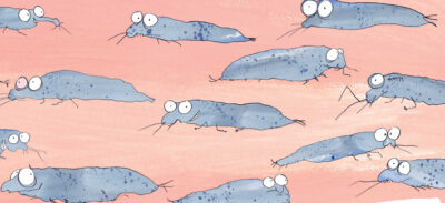 Efter att du läst “Om du möter en silverfisk” blir du aldrig densamma – “det viktigaste djuret som finns” kommer äntligen till tals!